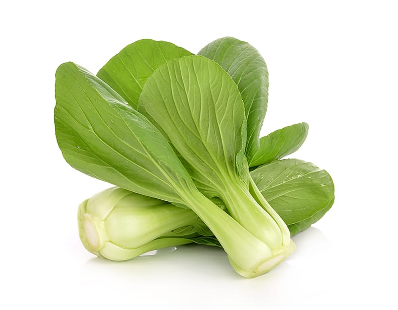 Bok Choy isolated