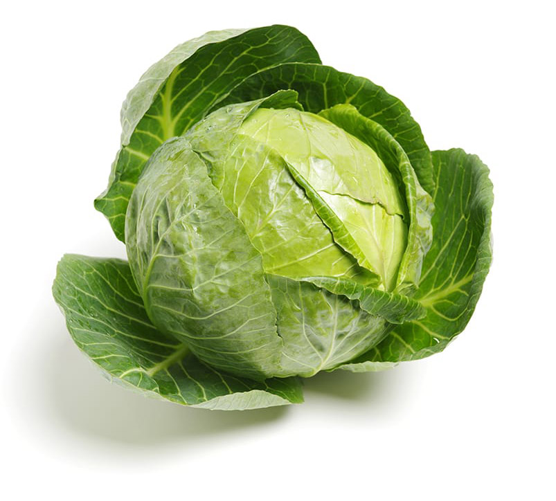 Cabbage