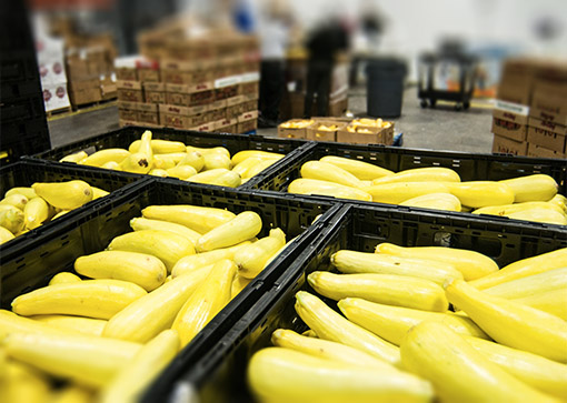 Premier Produce cutting zucchini stem image