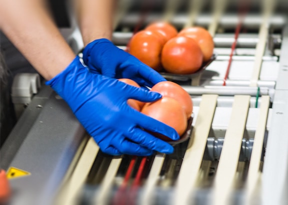 Tomato Packing and Labeling in Fort Worth