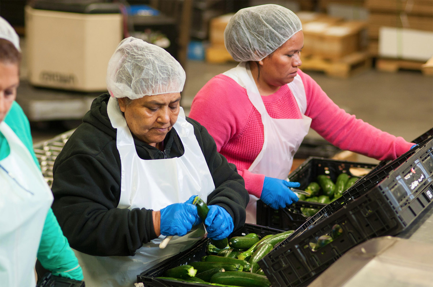 Contact Premier Produce in Fort Worth, TX